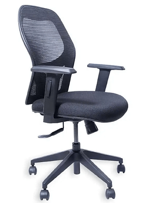 Naple Ergonomic Chair